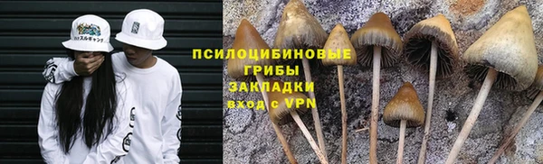 бутират Михайловск