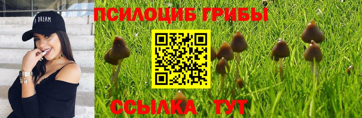 Псилоцибиновые грибы мухоморы Северодвинск